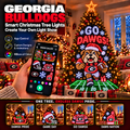 GGBD Smart Christmas Tree Lights TMH